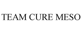 TEAM CURE MESO