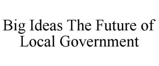 BIG IDEAS THE FUTURE OF LOCAL GOVERNMENT