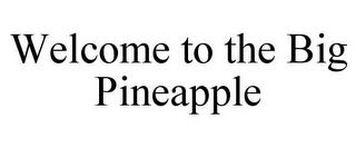 WELCOME TO THE BIG PINEAPPLE