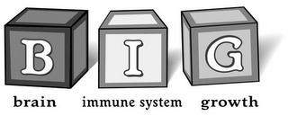 BIG BRAIN IMMUNE SYSTEM GROWTH