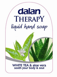 DALAN THERAPY LIQUID HAND SOAP WHITE TEA & ALOE VERA SOOTH YOUR BODY & SOUL