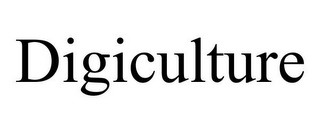 DIGICULTURE