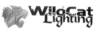 WILDCAT LIGHTING