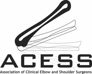 ACESS ASSOCIATION OF CLINICAL ELBOW AND SHOULDER SURGEONS