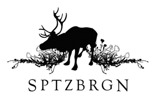 SPTZBRGN