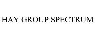 HAY GROUP SPECTRUM