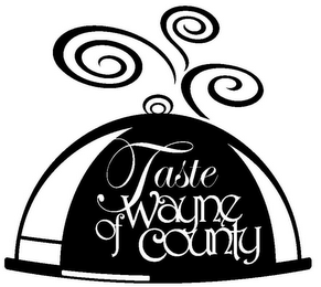 TASTE OF WAYNE COUNTY