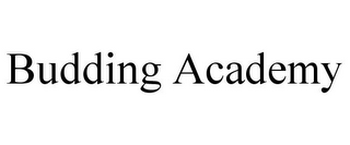 BUDDING ACADEMY