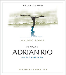 VALLE DE UCO MALBEC ROBLE FINCAS ADRIANRIO SINGLE VINEYARD MENDOZA ARGENTINA