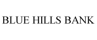 BLUE HILLS BANK