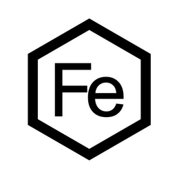 FE