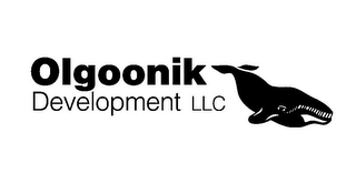 OLGOONIK DEVELOPMENT LLC