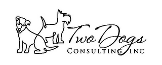 TWO DOGS CONSULTING INC