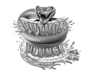 PYTHON PLUNGE