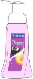 SOFTSOAP PAMPERED HANDS