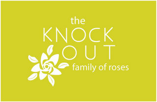 THE KNOCK OUT FAMILY OF ROSES