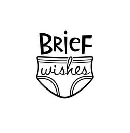 BRIEF WISHES