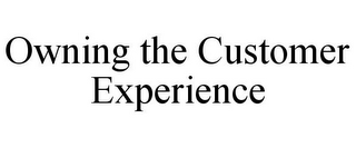 OWNING THE CUSTOMER EXPERIENCE