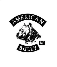 AMERICAN BULLY BC