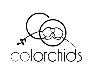 CO COLORORCHIDS