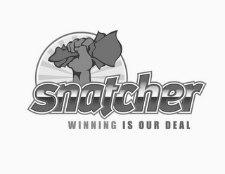 SNATCHER