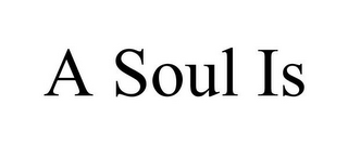 A SOUL IS