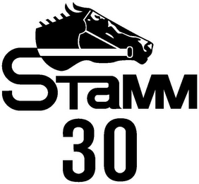 STAMM 30