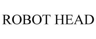ROBOT HEAD