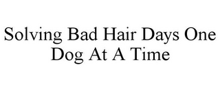 SOLVING BAD HAIR DAYS ONE DOG AT A TIME