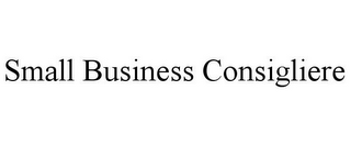 SMALL BUSINESS CONSIGLIERE