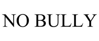 NO BULLY