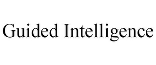 GUIDED INTELLIGENCE