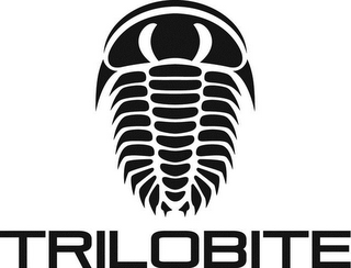 TRILOBITE