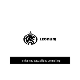 LEONUM ENHANCED CAPABILITIES CONSULTING