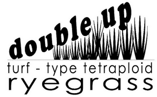 DOUBLE UP TURF - TYPE TETRAPLOID RYEGRASS