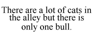 THERE ARE A LOT OF CATS IN THE ALLEY BUT THERE IS ONLY ONE BULL.