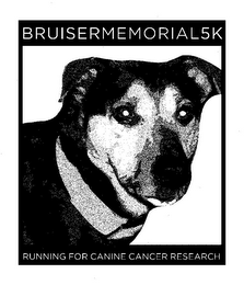 BRUISERMEMORIAL5K RUNNING FOR CANINE CANCER RESEARCH