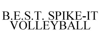 B.E.S.T. SPIKE-IT VOLLEYBALL