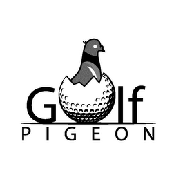 GOLF PIGEON