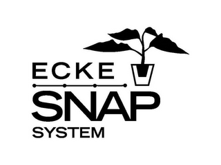 ECKE SNAP SYSTEM