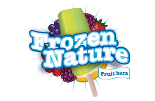 FROZEN NATURE FRUIT BARS