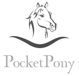 POCKETPONY