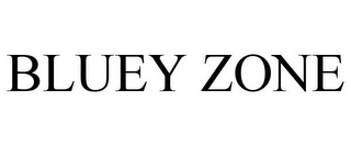 BLUEY ZONE