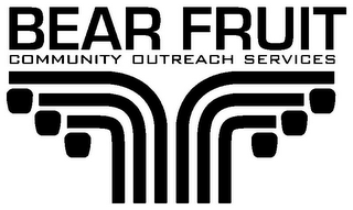 BEAR FRUIT COMMUNITY OUTREACH SERVICES