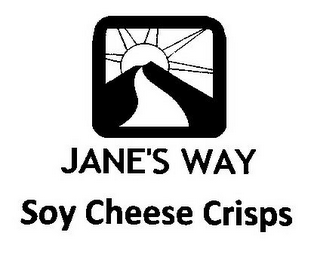 JANE'S WAY SOY CHEESE CRISPS