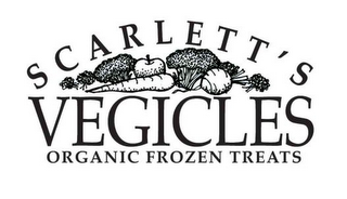 SCARLETT'S VEGICLES ORGANIC FROZEN TREATS