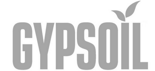 GYPSOIL