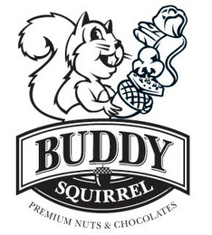 BUDDY SQUIRREL PREMIUM NUTS & CHOCOLATES