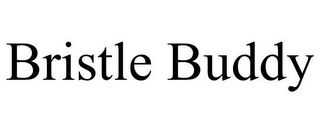 BRISTLE BUDDY