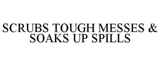 SCRUBS TOUGH MESSES & SOAKS UP SPILLS